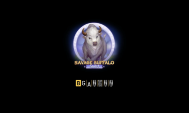 Savage Buffalo Spirit
