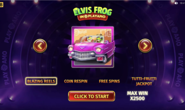 Elvis Frog In PlayAmo