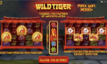 Wild Tiger