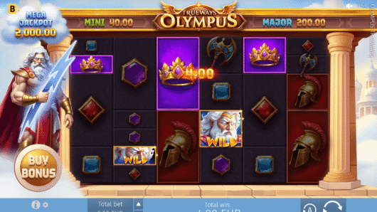 Olympus TRUEWAYS™