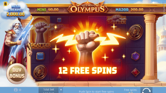 Olympus TRUEWAYS™