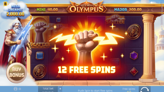 Olympus TRUEWAYS™