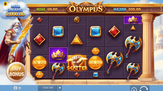Olympus TRUEWAYS™