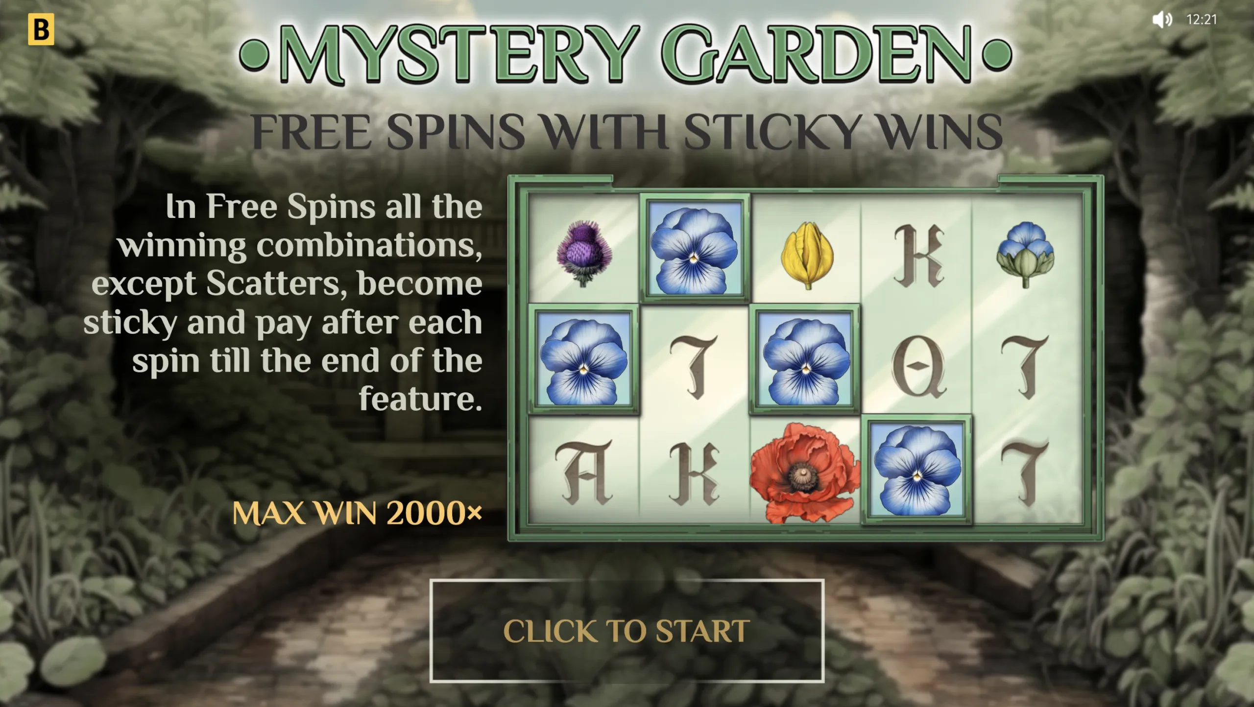 Mystery Garden