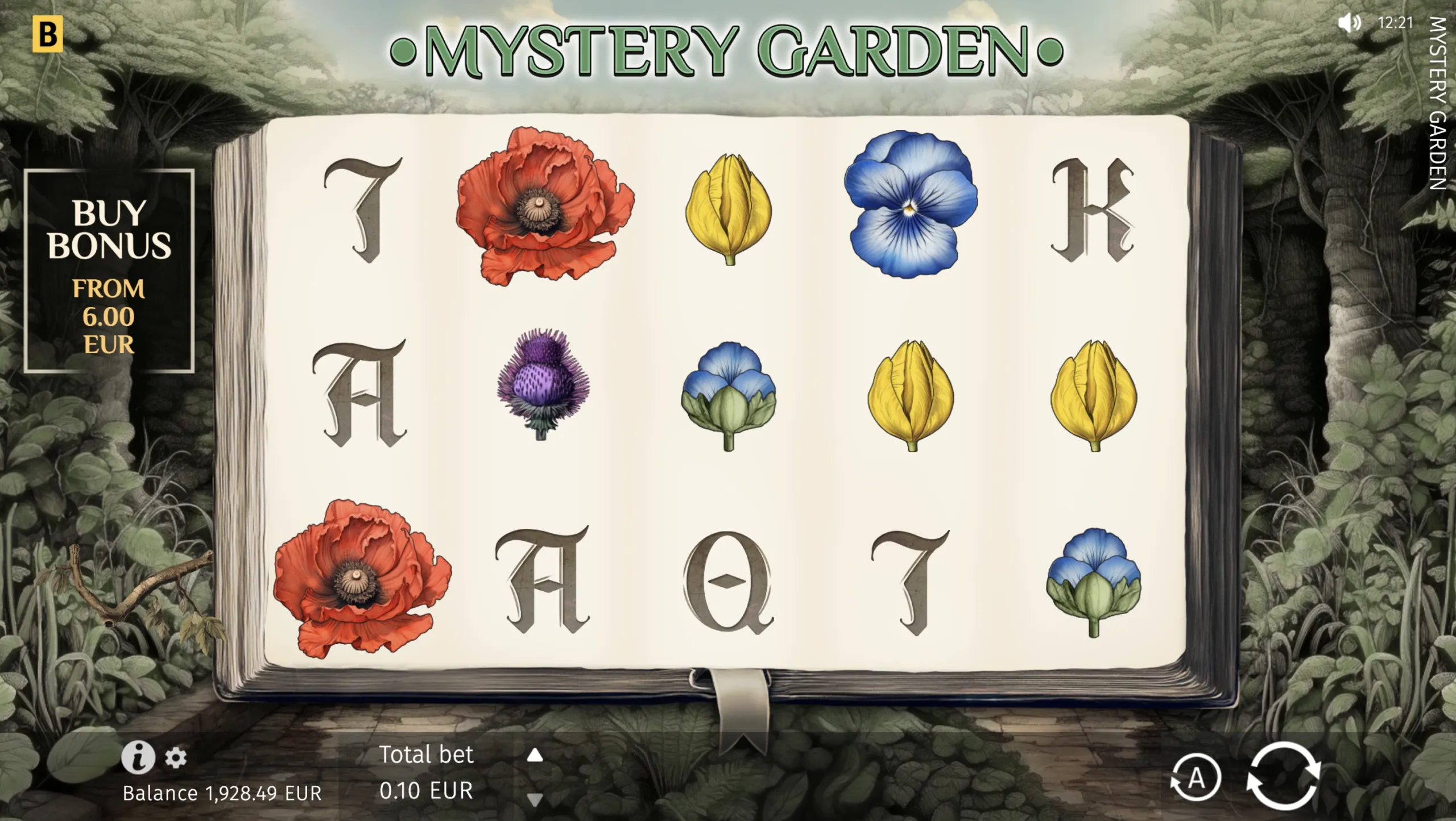 Mystery Garden