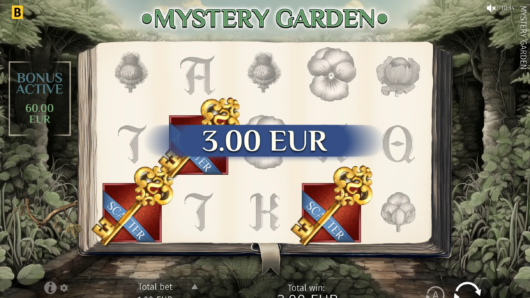 Mystery Garden