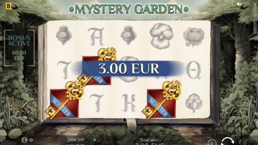 Mystery Garden