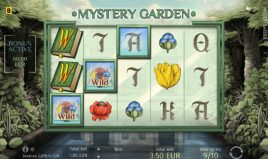 Mystery Garden