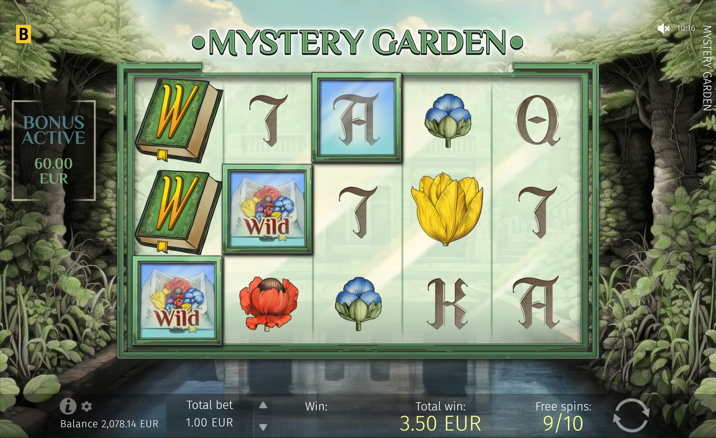 Mystery Garden