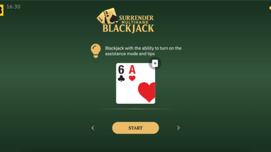 Surrender Multihand Blackjack