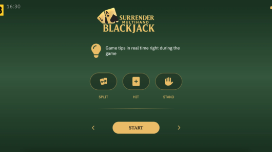 Surrender Multihand Blackjack