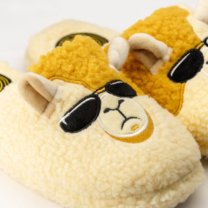 Slippers