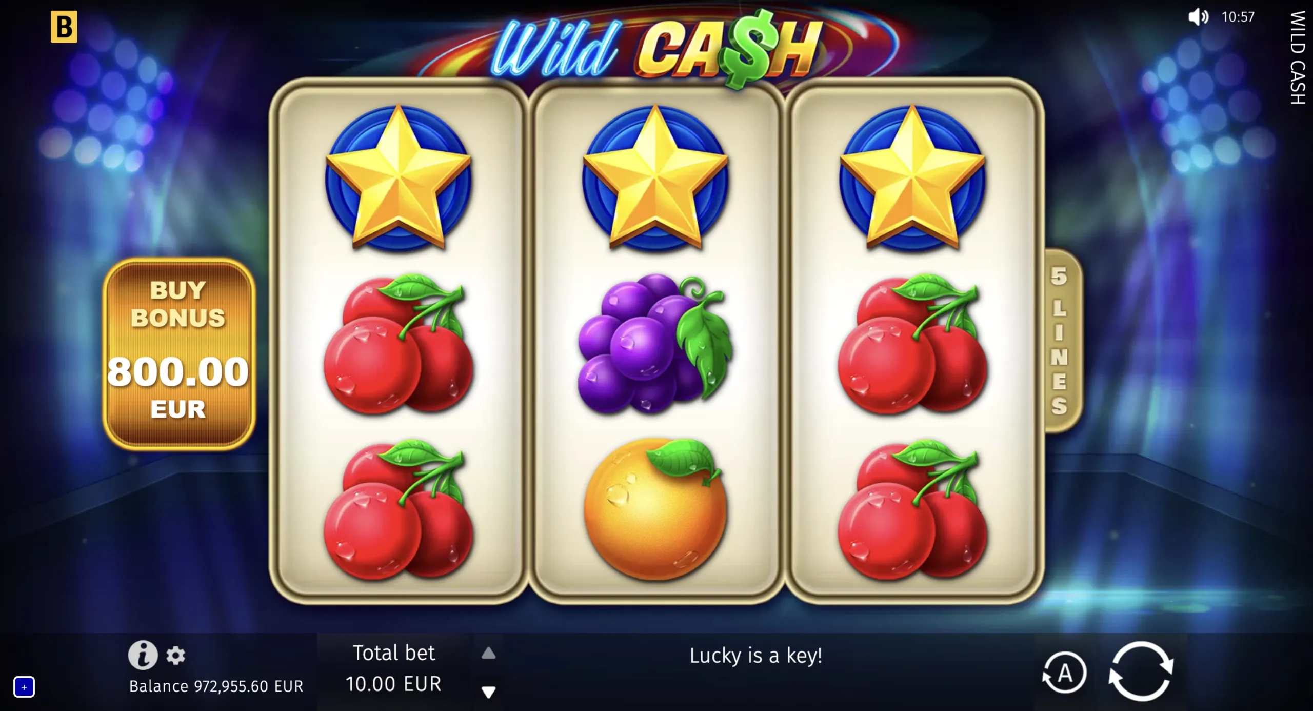 Wild Cash